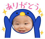 842394100