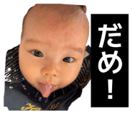 842394157