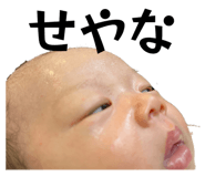 842394170