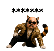 842394537