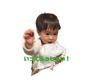 842394568
