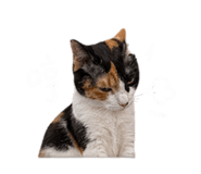 842394917