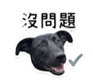 842395234