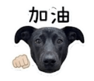 842395248
