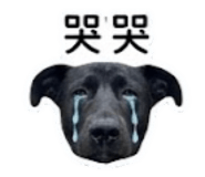 842395262