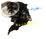 842395747