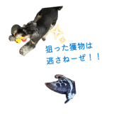 842395748