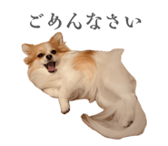 842396263