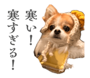 842396281