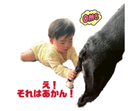 842396479