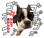 842396482