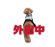 842396517