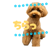 842396519