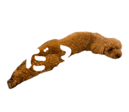 842396523