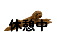 842396529