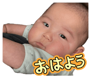 842396833