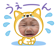 842396834