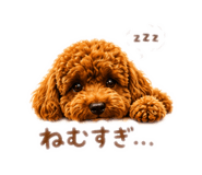 842397147