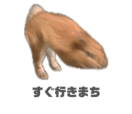842397236