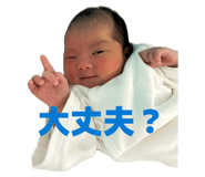 842397381
