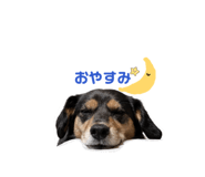 842397444