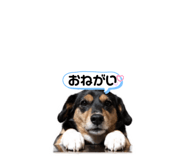 842397448