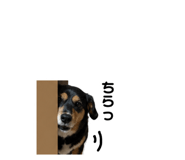 842397454