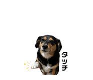 842397455