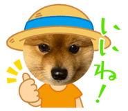 842397466