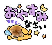 842397468