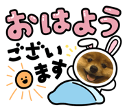 842397469