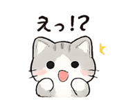 842397550