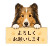 842397861
