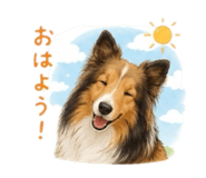 842397871