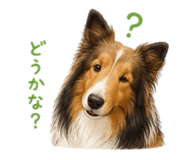 842397890