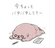 842397948