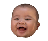842397984