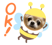 842398016