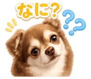 842398161