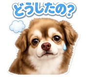 842398162