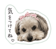 842398371