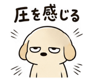 842398548