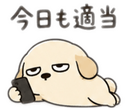 842398552