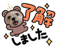 842398569