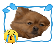 842398699