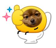 842398702