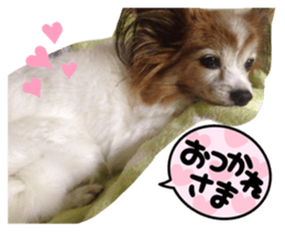 842398806