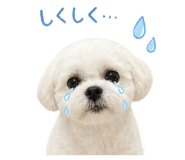 842399001