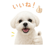 842399003