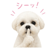 842399004